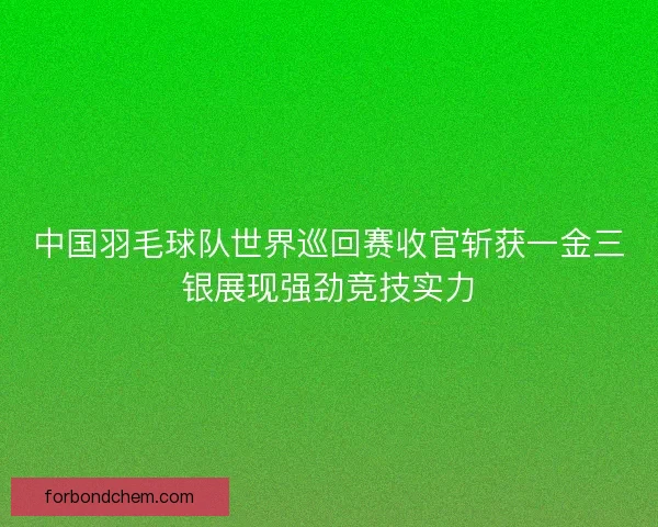 中国羽毛球队世界巡回赛收官斩获一金三银展现强劲竞技实力