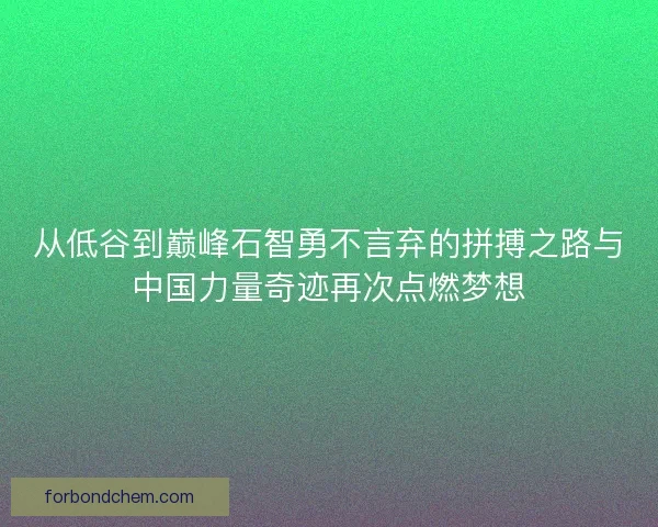 从低谷到巅峰石智勇不言弃的拼搏之路与中国力量奇迹再次点燃梦想