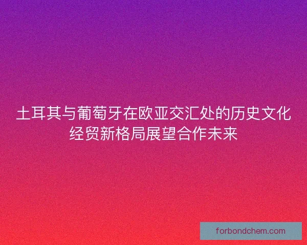 土耳其与葡萄牙在欧亚交汇处的历史文化经贸新格局展望合作未来