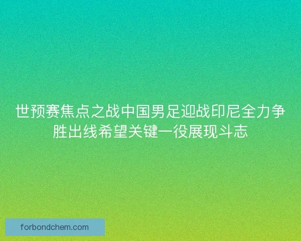 世预赛焦点之战中国男足迎战印尼全力争胜出线希望关键一役展现斗志