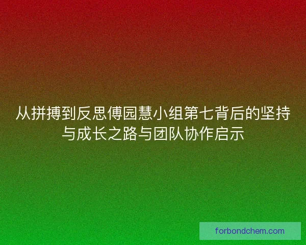 从拼搏到反思傅园慧小组第七背后的坚持与成长之路与团队协作启示