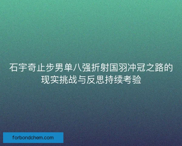石宇奇止步男单八强折射国羽冲冠之路的现实挑战与反思持续考验