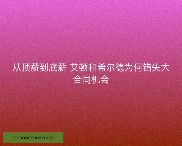 从顶薪到底薪 艾顿和希尔德为何错失大合同机会
