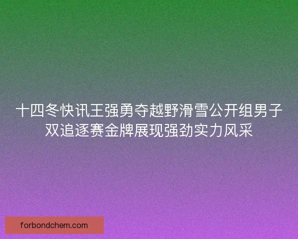 十四冬快讯王强勇夺越野滑雪公开组男子双追逐赛金牌展现强劲实力风采